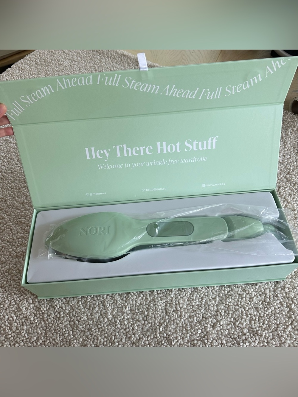 NWT Nori iron press steam in mint green handheld travel